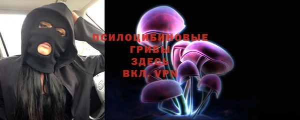 ешки Арсеньев
