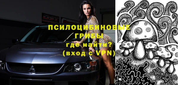 дмт Аркадак