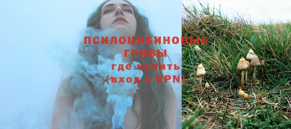 твердый Армянск